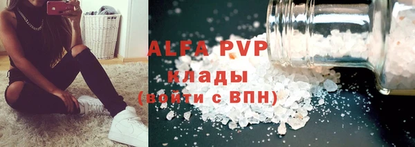 гидра Алексин
