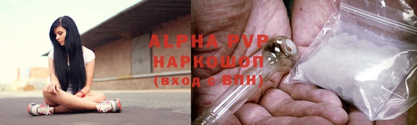гидра Алексин