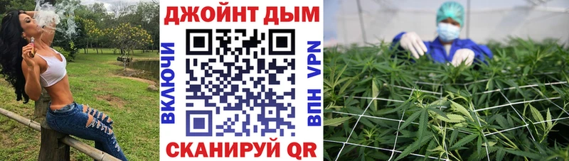 где купить наркоту  OMG вход  Канабис Amnesia  Елабуга 
